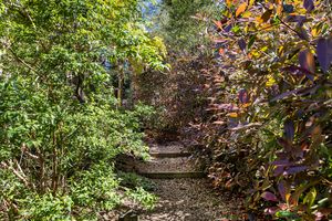 Photo 64- click for photo gallery